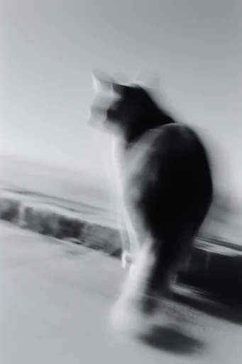 Fragmented Monochrome Surrealism style reference image — geometric fragmentation