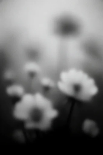 Spectral Pictorial Noir style reference image — liminal atmosphere