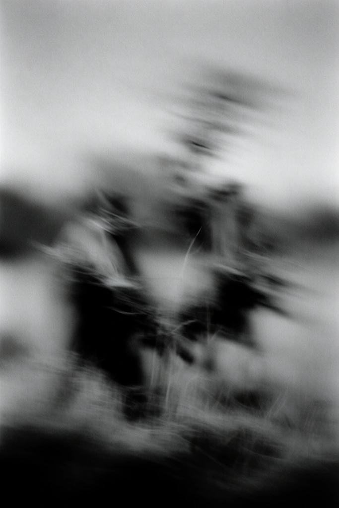 Ethereal Monochrome Motion style AI image example 2