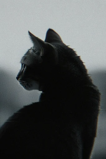 Distorted Cinematic Melancholia style reference image — scanline texture