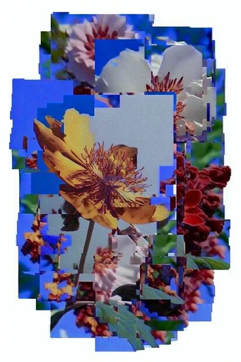 Fragmented Digital Brutalism style reference image — cubist montage