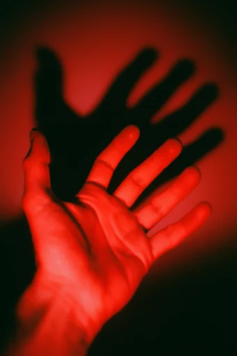 Cinematic Crimson Noir style reference image — stark shadow silhouettes