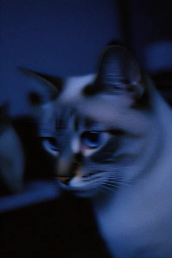 Spectral Nocturnal Motion style reference image — heavy film grain