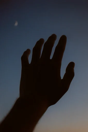 Nocturnal Cyan Melancholia style reference image — cyan monochrome