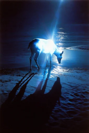 Luminous Nocturnal Surrealism style reference image — heavy 35mm film grain