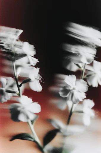 Spectral Analog Noir style reference image — cinematic noir