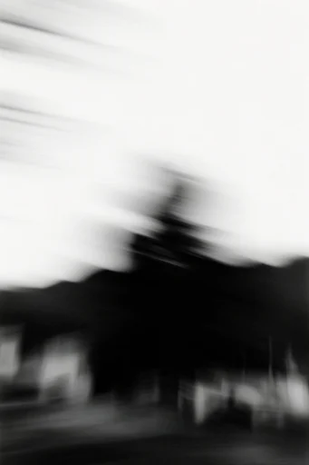 Kinetic Ghostly Monochrome style AI image example 2