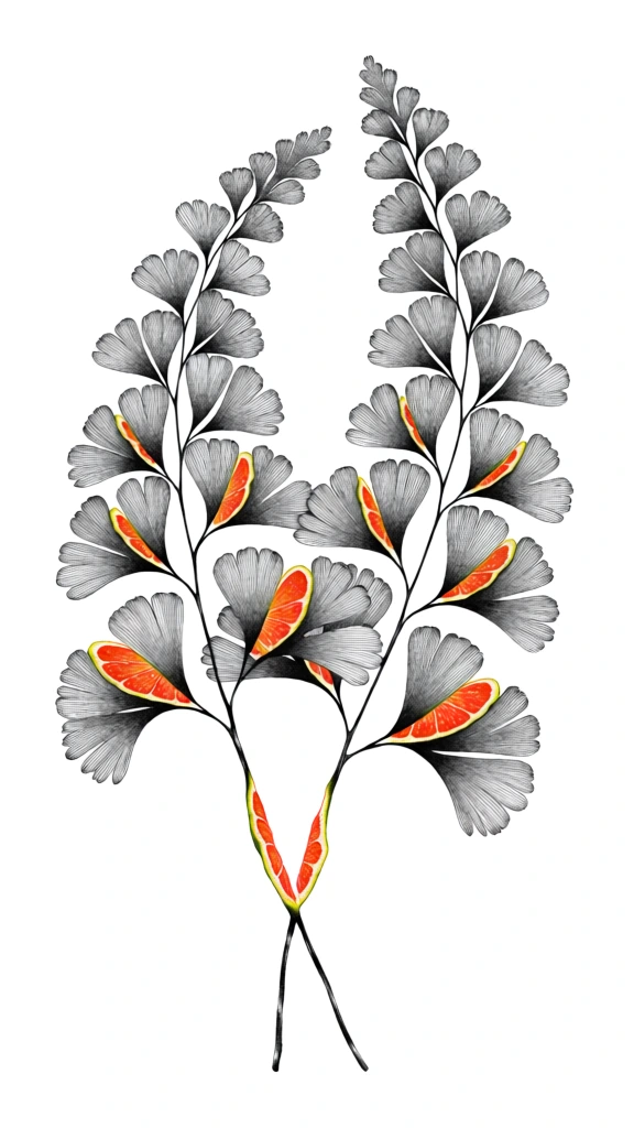 maidenhair fern fronds with two stems crossing at the bottom, hand-drawn fine-line pen and ink style, intricate cross-hatching and stippled textures, surrealist spiral peel effect, the stems and leaves are sliced into a continuous ribbon revealing a vibrant juicy orange citrus pulp interior, vertical composition, high-contrast monochrome ink with saturated pops of orange and red, botanical anatomical aesthetic, crisp line work, clean white background, graphic collage illustration style.