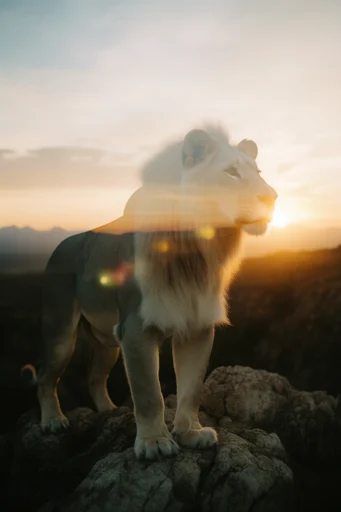 Ethereal Nostalgic Double-Exposure style reference image — cinematic film grain