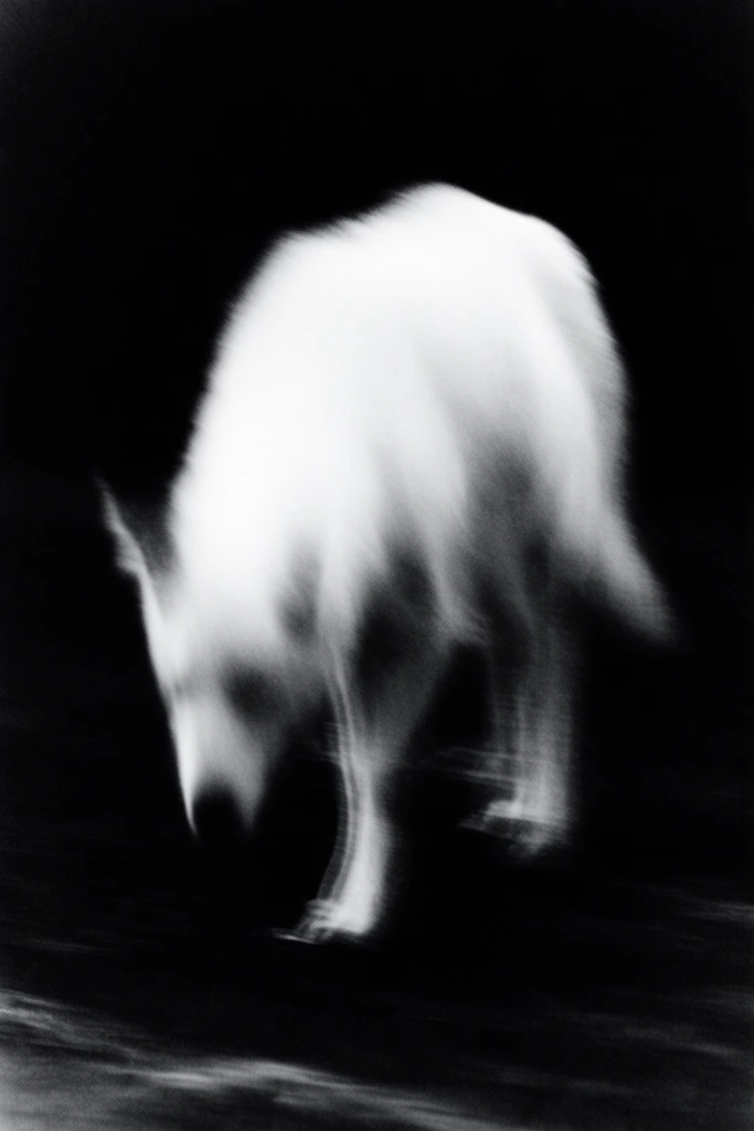 Spectral Motion Noir style AI image example 3