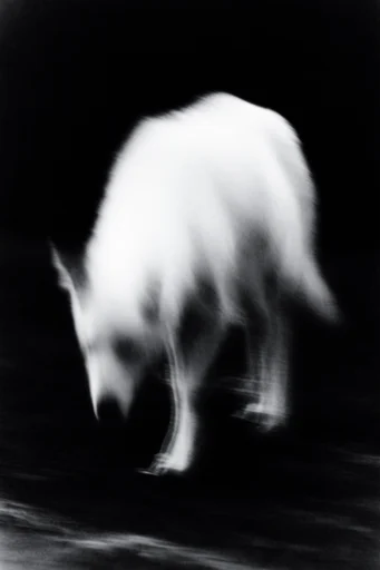 Spectral Motion Noir style AI image example 3