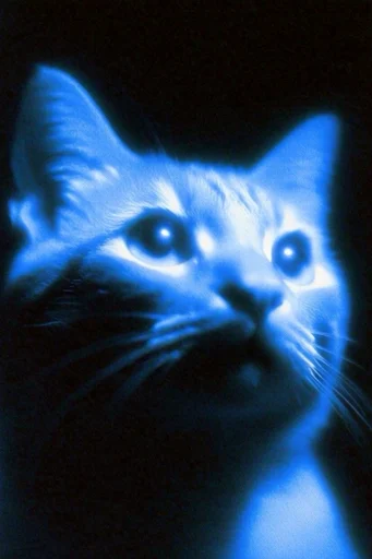 Electric Cobalt Noir style reference image — ethereal spectral atmosphere
