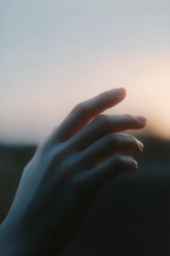 Cinematic Introspective Twilight style reference image — moody twilight lighting