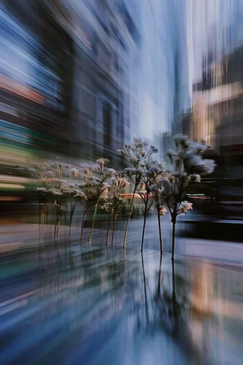 Kinetic Nocturnal Velocity style reference image — nocturnal cityscape
