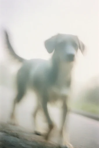 Intimate Ethereal Melancholy style reference image — raw human texture