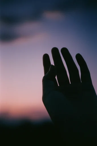 Nostalgic Twilight Haze style reference image — soft focus silhouette