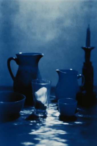 Nocturnal Cyanotype Noir style reference image — cyanotype inspired
