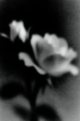 Gritty Monochrome Noir style reference image — uncanny atmosphere
