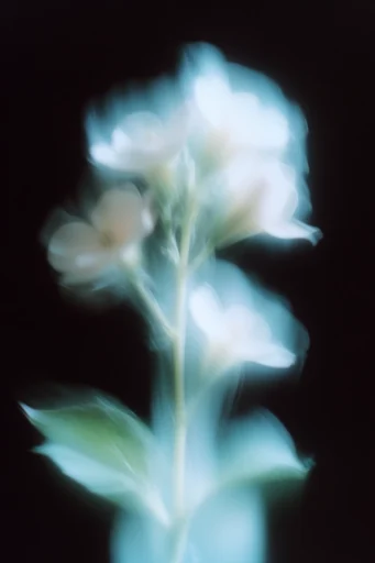 Spectral Cyan Luminescence style reference image — ghostly light trails