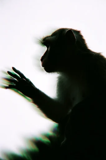 Spectral Kinetic Noir style reference image — chromatic aberration