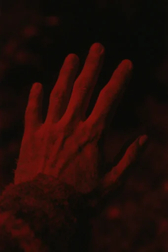 Crimson Nocturnal Void style reference image — pitch black night sky