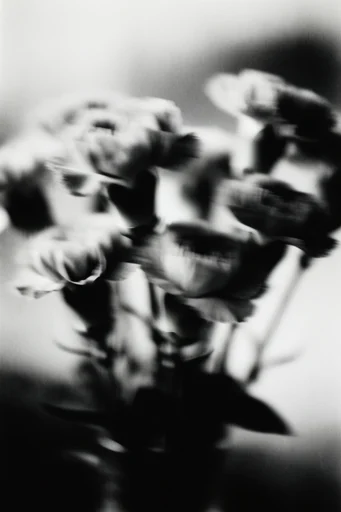 Kinetic Noir Spectralism style reference image — analog texture