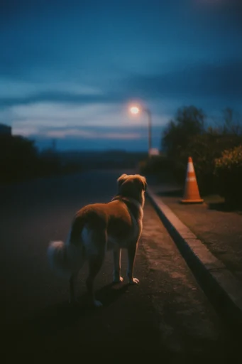 Cinematic Twilight Noir style reference image — blue hour lighting