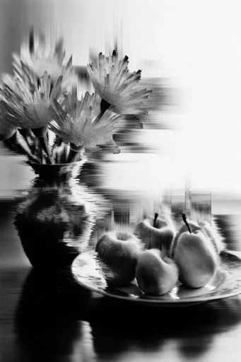 Monochrome Glitch Surrealism style reference image — pixel sorting