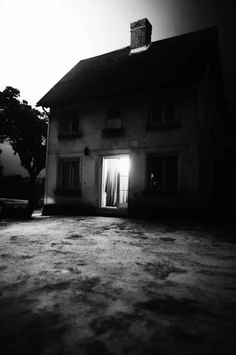 Luminous Noir Surrealism style reference image — heavy film grain