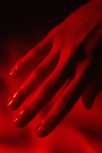 Cinematic Crimson Noir style reference image — macro beauty photography