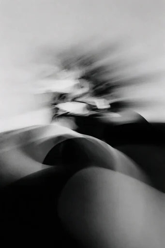Ethereal Kinetic Monochrome style reference image — high-contrast monochrome