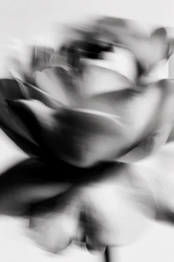 Ethereal Monochrome Motion style reference image — frosted glass texture