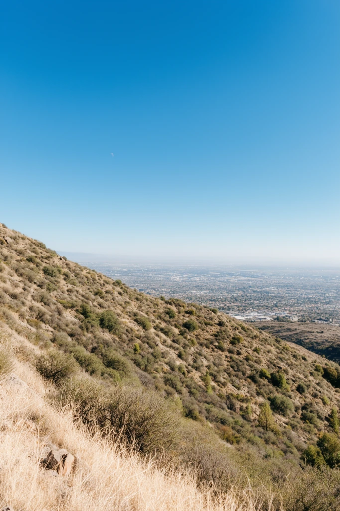 sweeping landscape from a high vantage point, rugged dry hillside sloping diagonally, tan dry grass and olive green scrub brush, overlooking a sprawling flat city grid in a hazy valley, massive clear bright blue sky dominating the upper frame, faint crescent moon, bright natural daytime lighting, wide-angle landscape photography