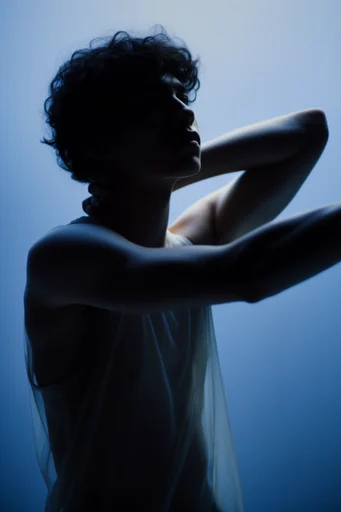 Luminous Silhouette Minimalism moodboard — generate AI images in this style