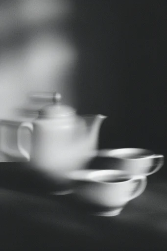Ethereal Grain Monochrome style reference image — high-contrast monochrome