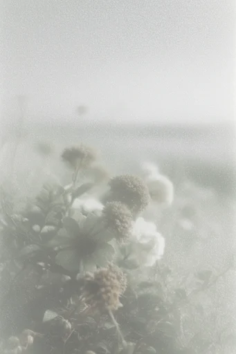 Ethereal Monochromatic Erosion style reference image — long exposure motion