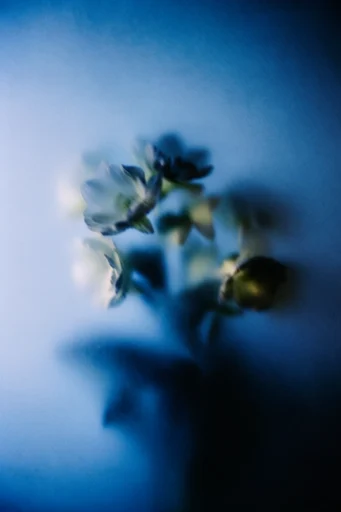 Ethereal Cyan Nocturne style reference image — dreamy impressionistic diffusion