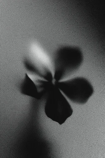 Gritty Monochrome Analog style reference image — gritty analog distortion