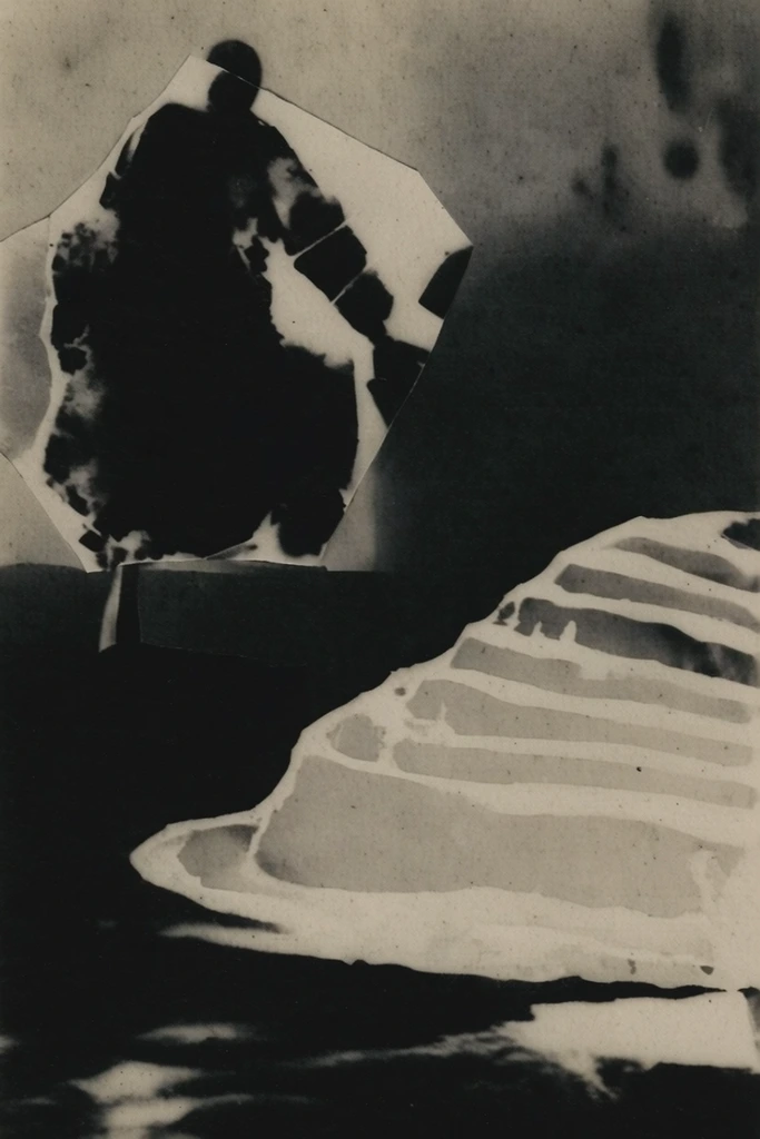 Experimental Darkroom Noir style AI image example 2
