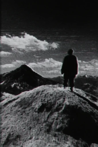 Monochrome Analog Corruption style reference image — high-contrast monochrome