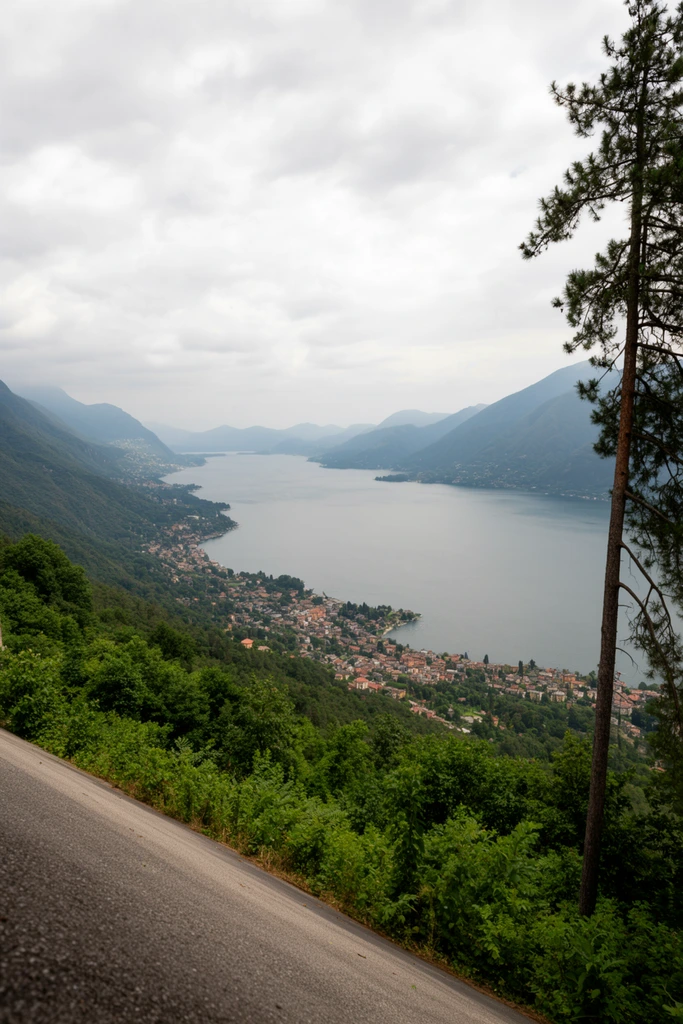 A wide panoramic landscape from a high elevation overlooks a vast lake nestled among forested mountains. A sloped asphalt surface cuts across the left foreground above steep, lush green foliage, while a tall, slender pine tree frames the right edge. A dense town with terracotta-roofed buildings hugs the winding shoreline below. The expansive grey-blue water stretches across the midground beneath a cloudy, overcast sky. Distant layered mountain peaks fade into a hazy atmospheric perspective under soft, diffused natural lighting, emphasizing a deep depth of field and the monumental scale of the valley.