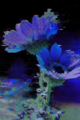 Corrupted Analog Nostalgia style reference image — retro digital noise