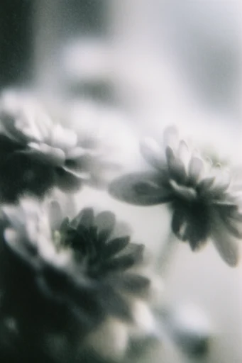 Ethereal Grain Noir style reference image — analog 35mm texture