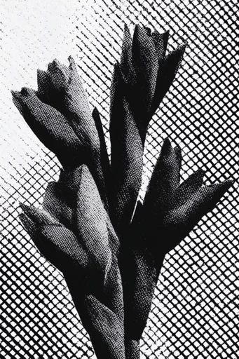 Stark Photocopy Brutalism style reference image — stark minimalist composition