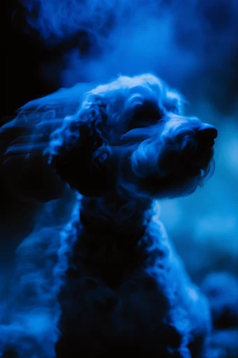 Nocturnal Cobalt Spectralism style reference image — dreamlike motion blur