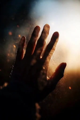 Luminous Nocturnal Silhouette style reference image — volumetric haze