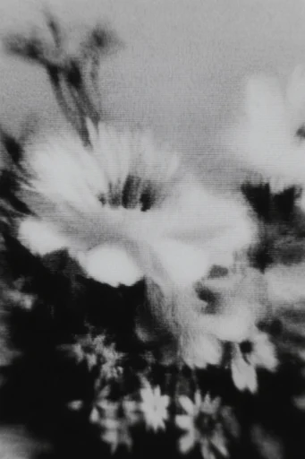 Analog Glitch Noir style reference image — gritty low-fidelity texture