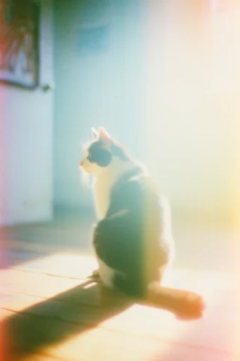 Ethereal Analog Decay style reference image — distressed film grain