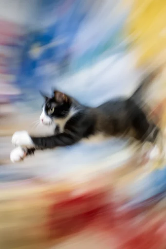Dynamic Kinetic Impressionism style reference image — shutter drag