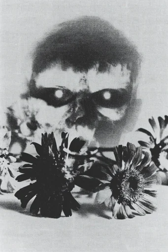 Monochrome Analog Disturbance style reference image — ink bleed